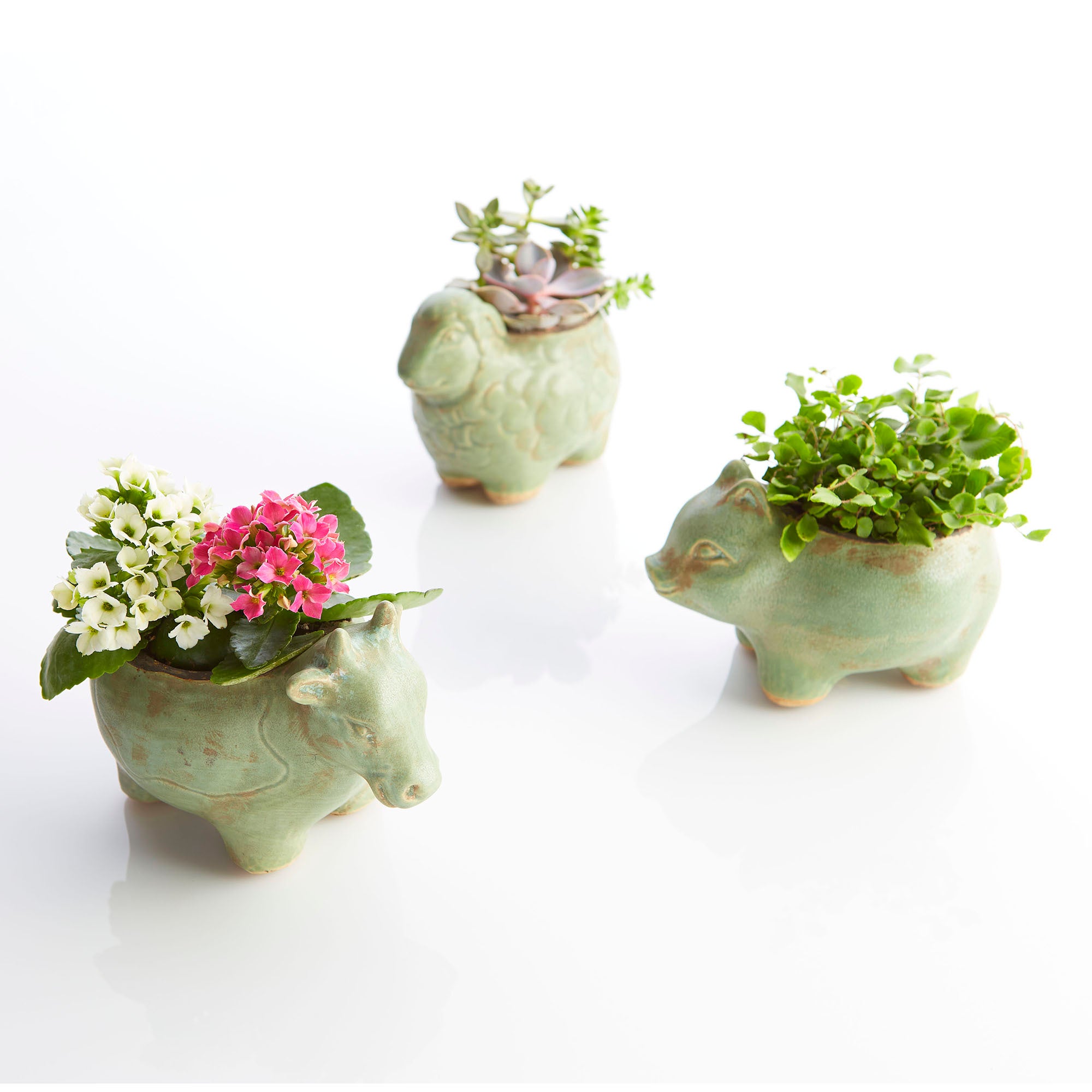 Lala Lamb Planter | Green Glaze - Cyan Design