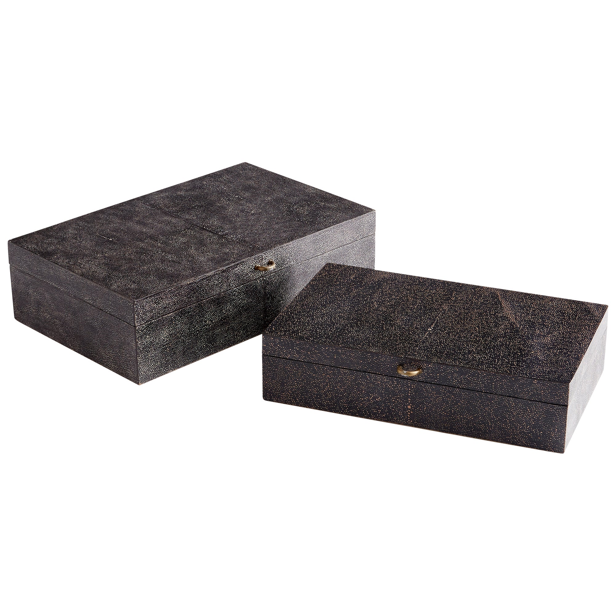 Puma Container | Black And Bronze - Medium - Image 3