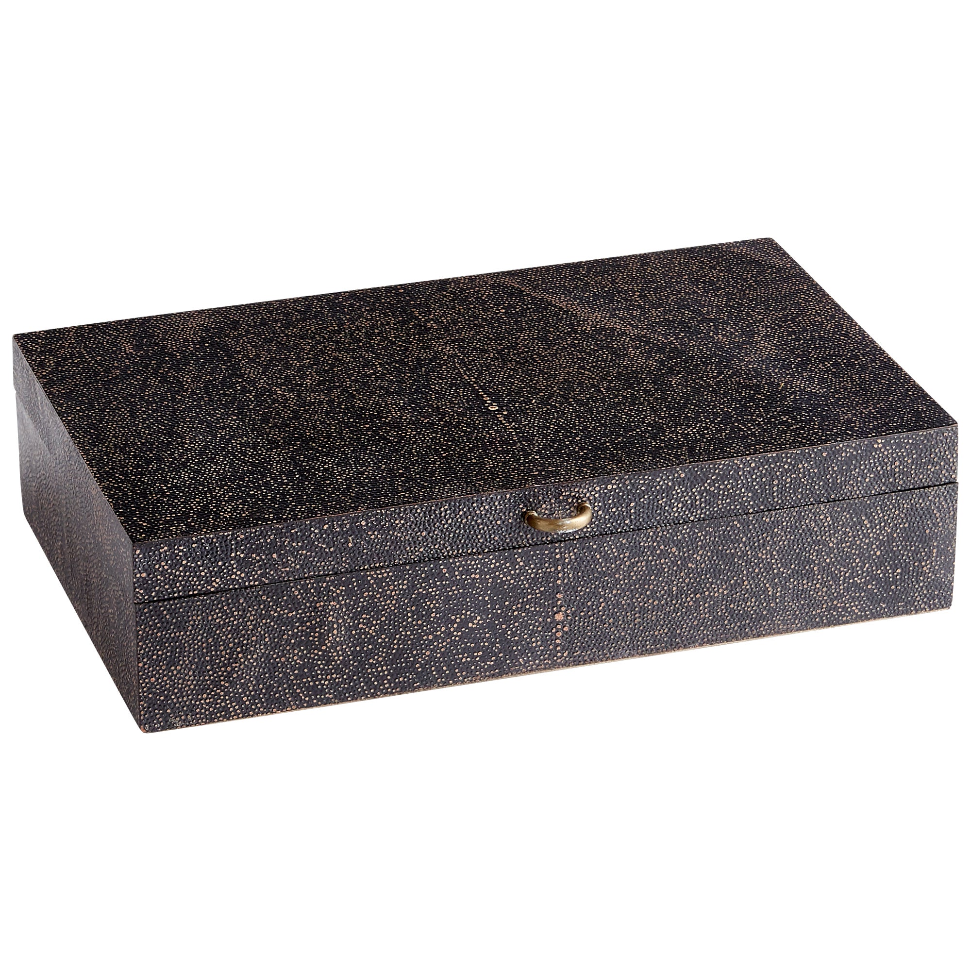 Puma Container | Black And Bronze - Medium