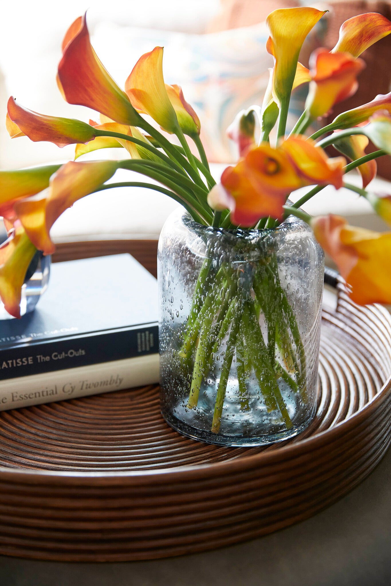 Oxtail Vase | Clear - Small - Image 6
